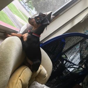 Meet your Posher, Mcg